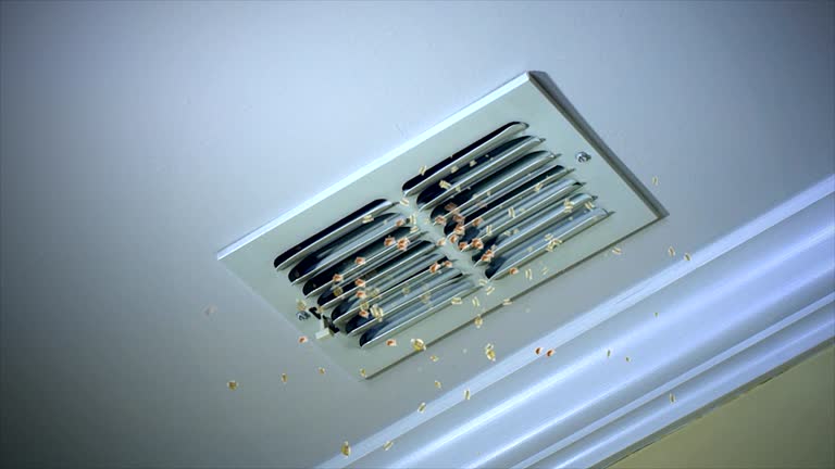 Best HVAC Maintenance and Cleaning  in Burnt Mills, MD