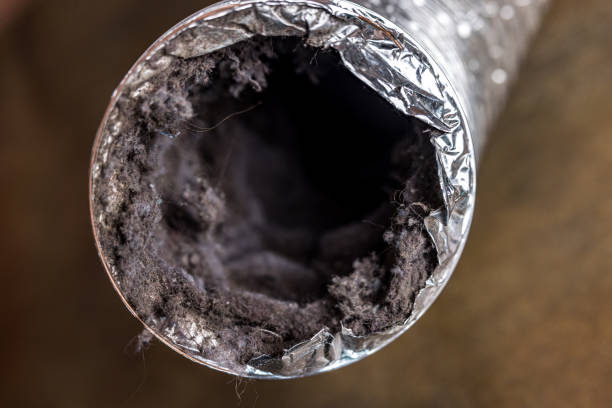 Best Air Vent Cleaning Services  in Burnt Mills, MD